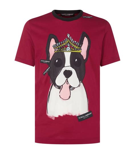 dolce gabbana dog collar|Dolce & Gabbana dog shirts.